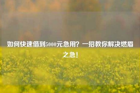 急需5000元贷款去哪里借