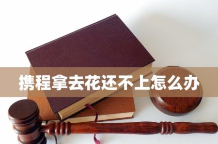 携程拿去花是哪家公司