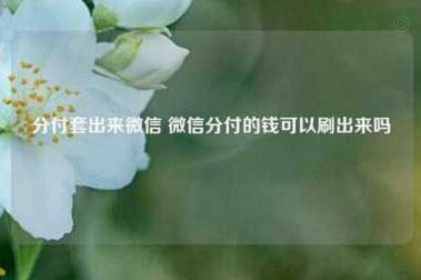分付模式下的现金交易革命