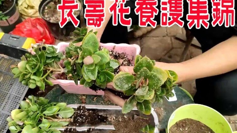 携程拿去花取现技巧