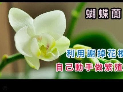 携程拿去花能取现吗
