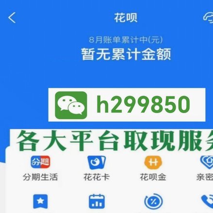 花呗使用平台