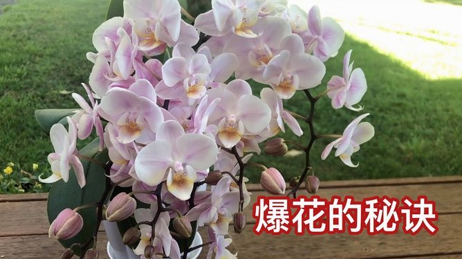 天猫用花呗付款后，如何安全及时地进行还款？