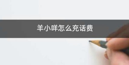 羊小咩充值：揭秘其复杂流程