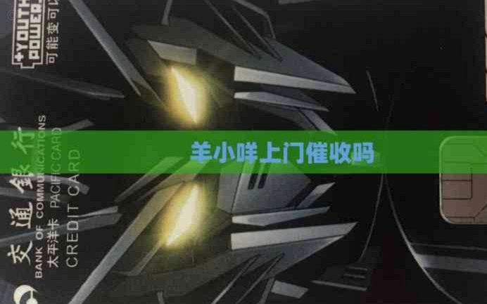 揭秘“羊小咩”催收电话的来源地