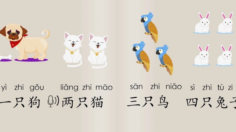 便荔卡套现背后的秘密技术与风险防范
