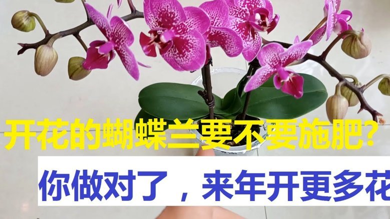 套现花呗合法吗