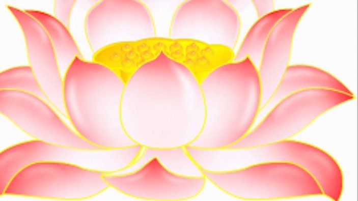 套现花呗合法吗