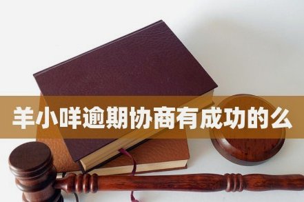 羊小咩怎么协商分24期可以吗