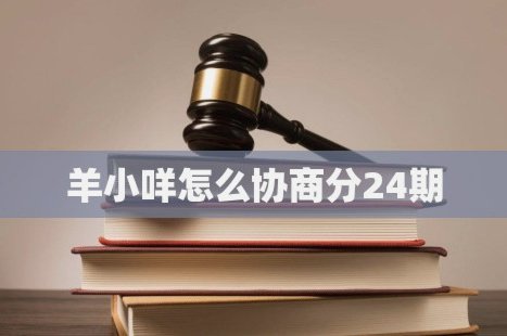 羊小咩怎么协商分24期可以吗