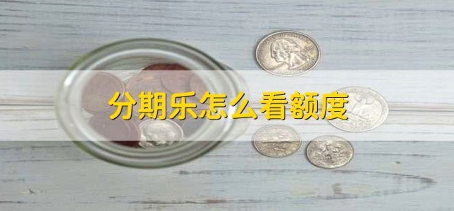 分期乐的额度明细怎么看
