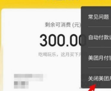 美团月付取现功能消失，原因何在？