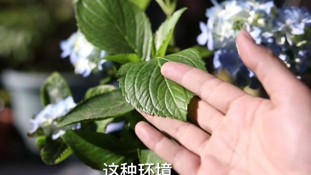 携程拿去花怎么样