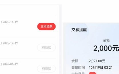 分期乐借钱攻略：超详细操作步骤与注意事项