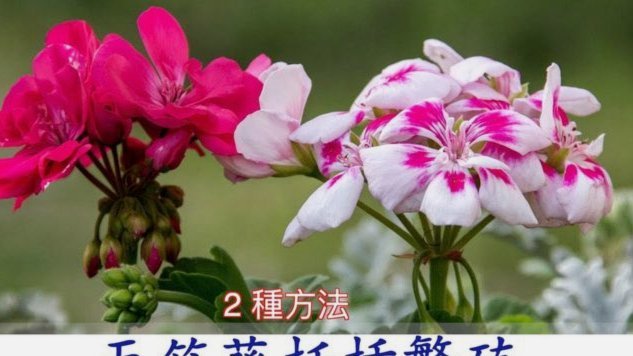花呗套路：是套利还是风险？