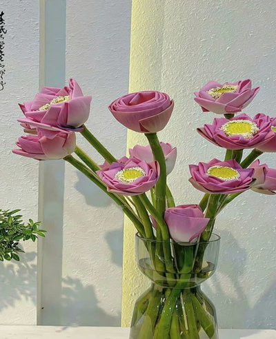 套花呗什么意思?