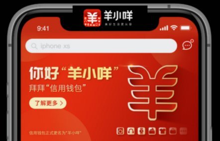 羊小咩信用钱包无法打开？技术解析