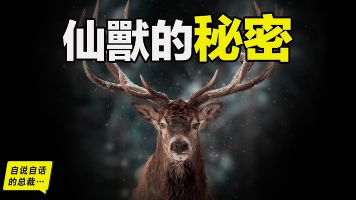 鹿优选提现安全攻略