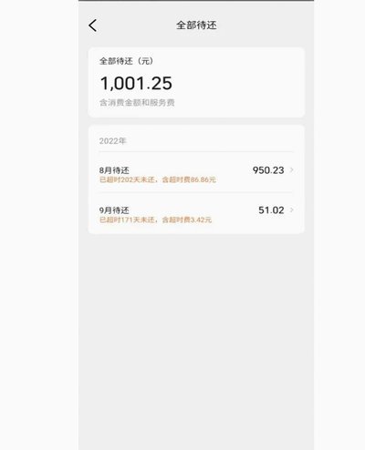 美团月付：套现骗局揭秘