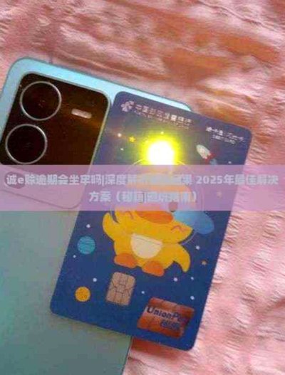 诚e赊怎么套出来