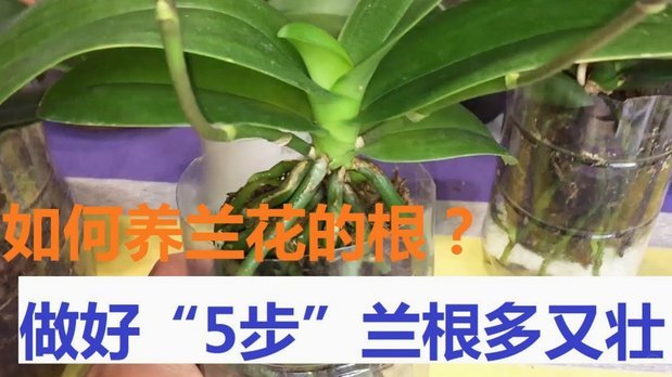 拿去花卡可以提现吗 怎么提现