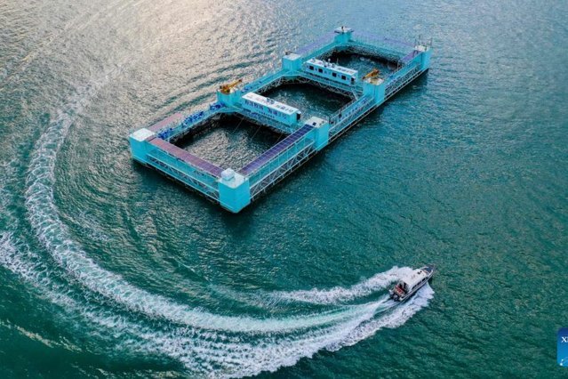 海鸥网贷平台