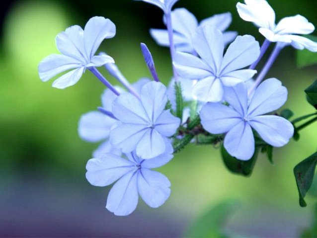 享花卡额度提现