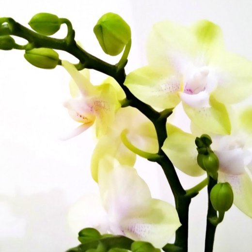 享花卡额度提现