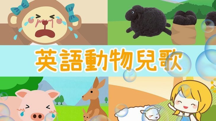 羊小咩贷款公司如何找到它？