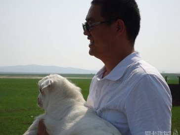 羊小羊套现：点数详解