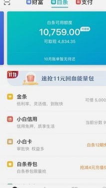 白条购物额度怎么套
