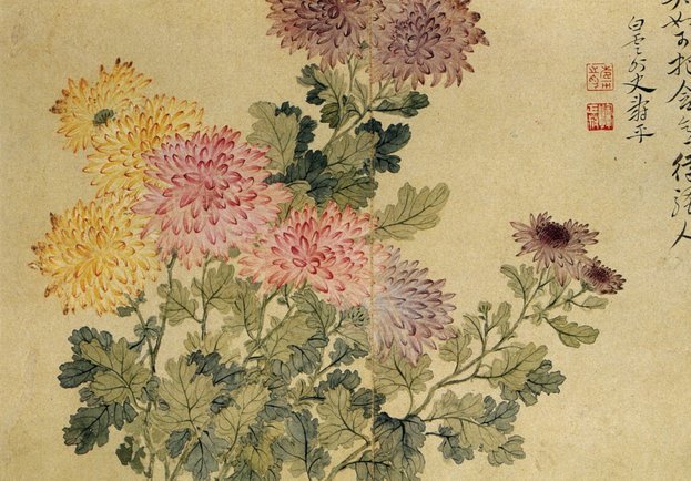 花呗正规性解析：信用体系与使用体验