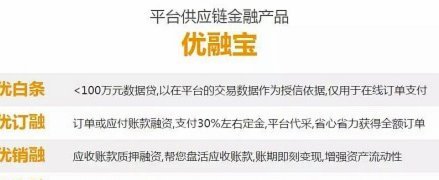 支持白条的第三方平台是哪个
