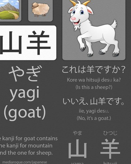 羊小咩理财：如何辨别正规？