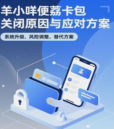 羊小咩卡包重生计划