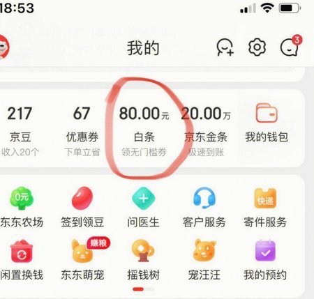 哪里可以套白条秒到的