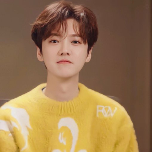 鹿 晗 现状