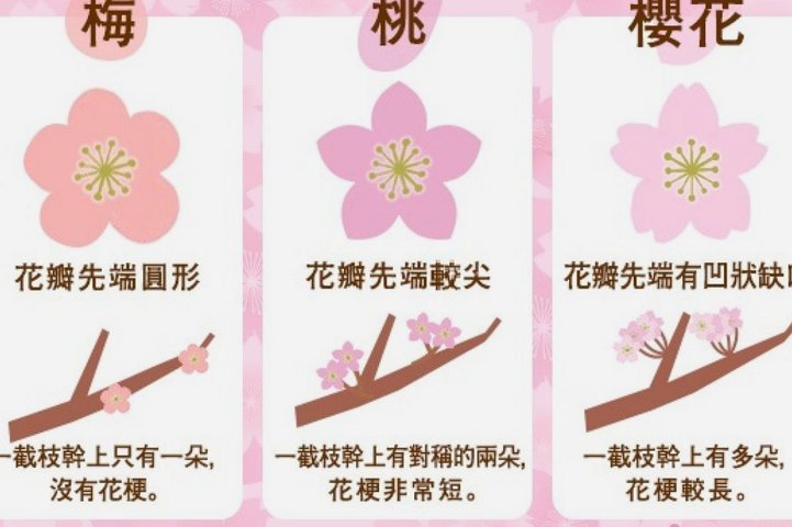 携程用户如何避免花呗套现被拒？