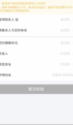 如何查看白条的联系人信息？