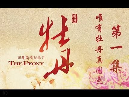 花呗提现秒到账二维码
