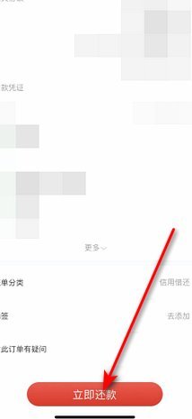 白条借款与快速还款技巧