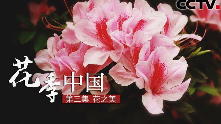 花呗借贷合法吗？了解一下