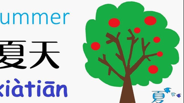 分期乐提额秘籍：稳健还款，额度随行