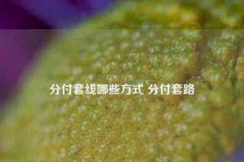 分付套用