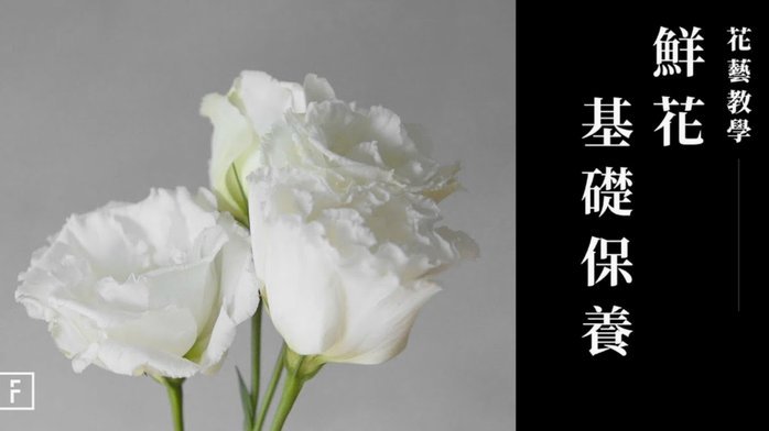 花呗的出现意味着什么