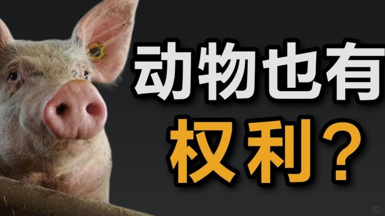 得物提现问题
