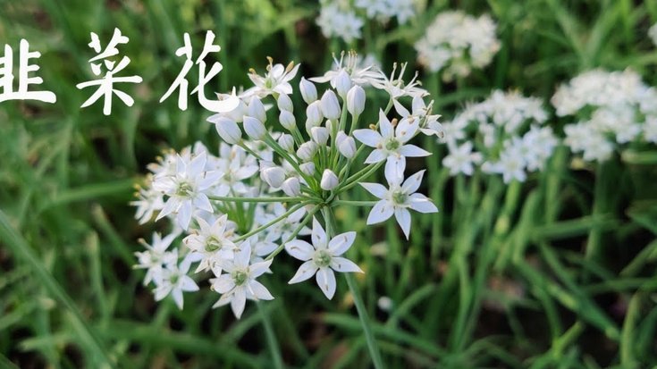 现在花呗怎么套